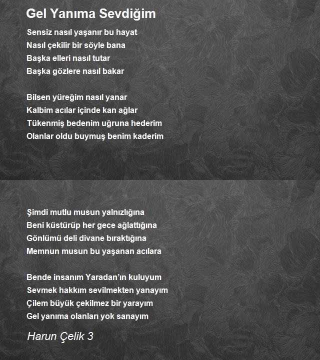 Harun Çelik 3