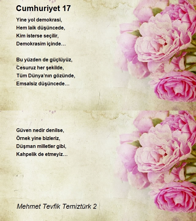 Mehmet Tevfik Temiztürk 2