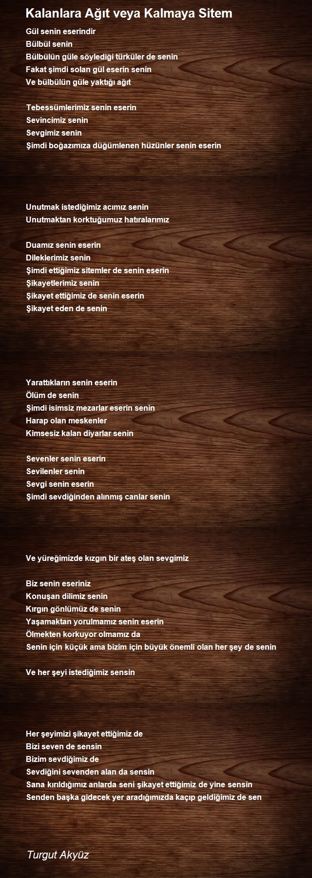 Turgut Akyüz