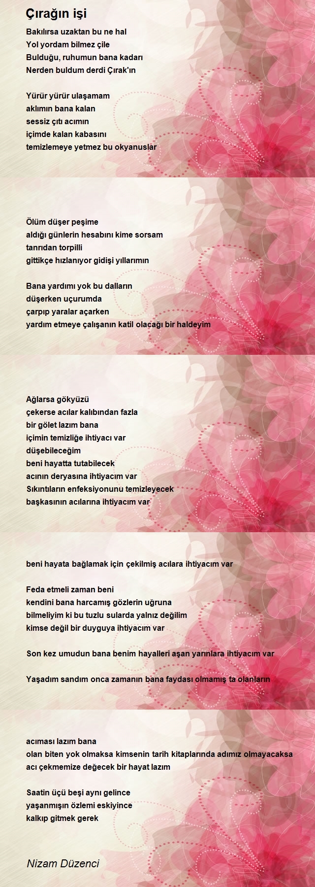 Nizam Düzenci