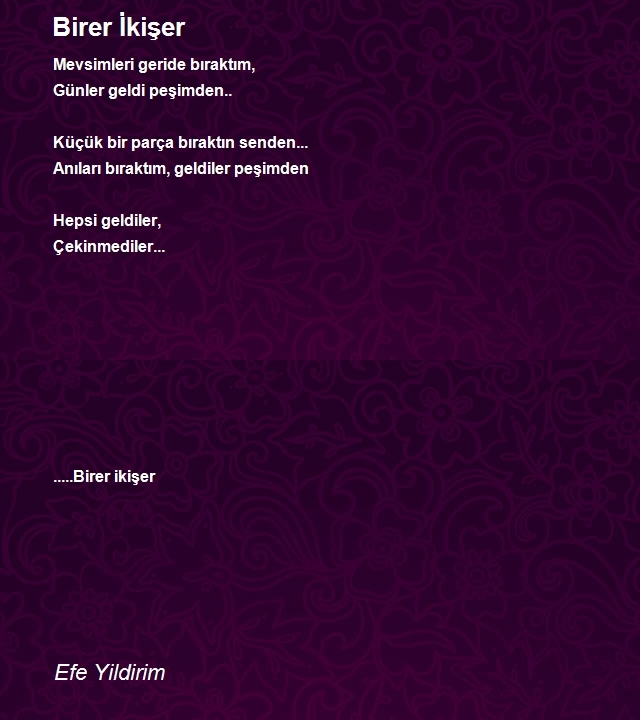 Efe Yildirim