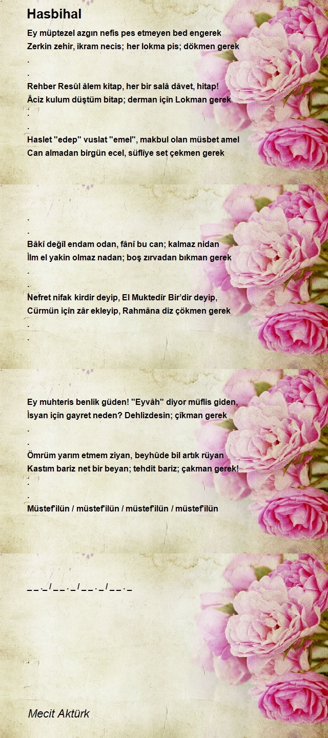 Mecit Aktürk