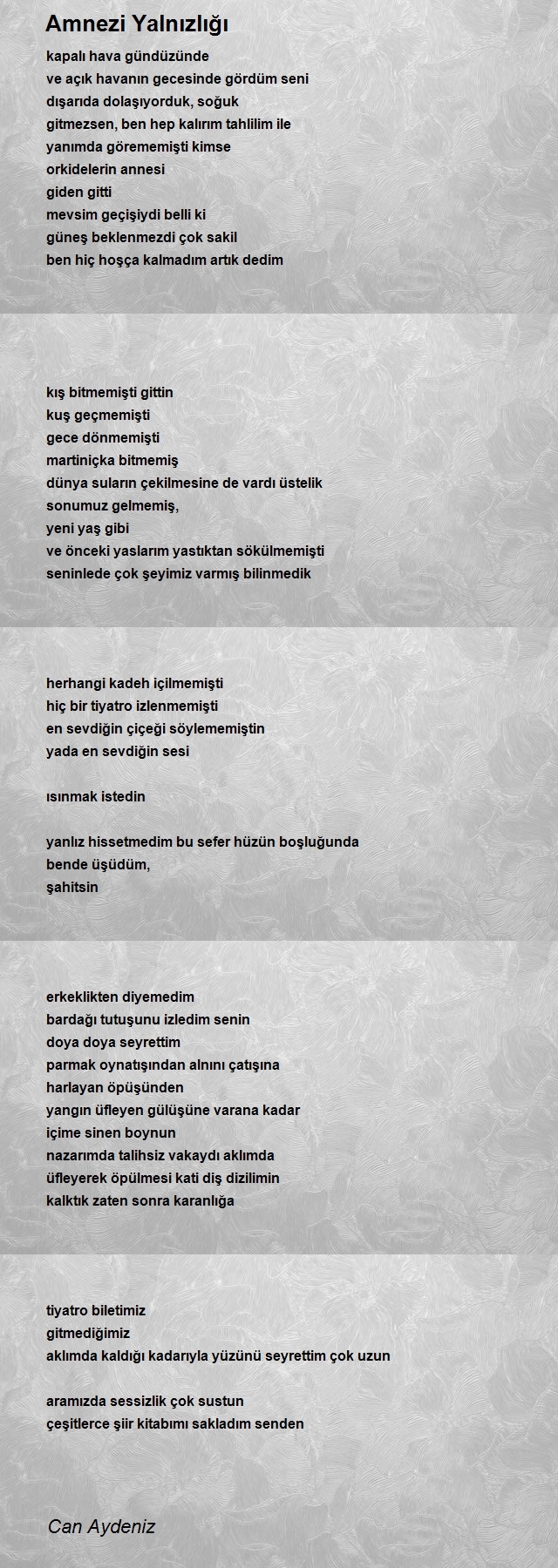 Can Aydeniz