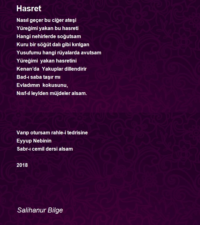 Salihanur Bilge
