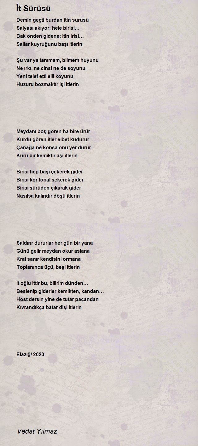 Vedat Yılmaz