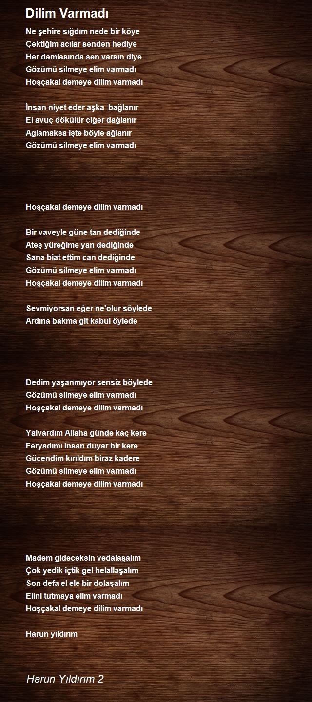 Harun Yıldırım 2