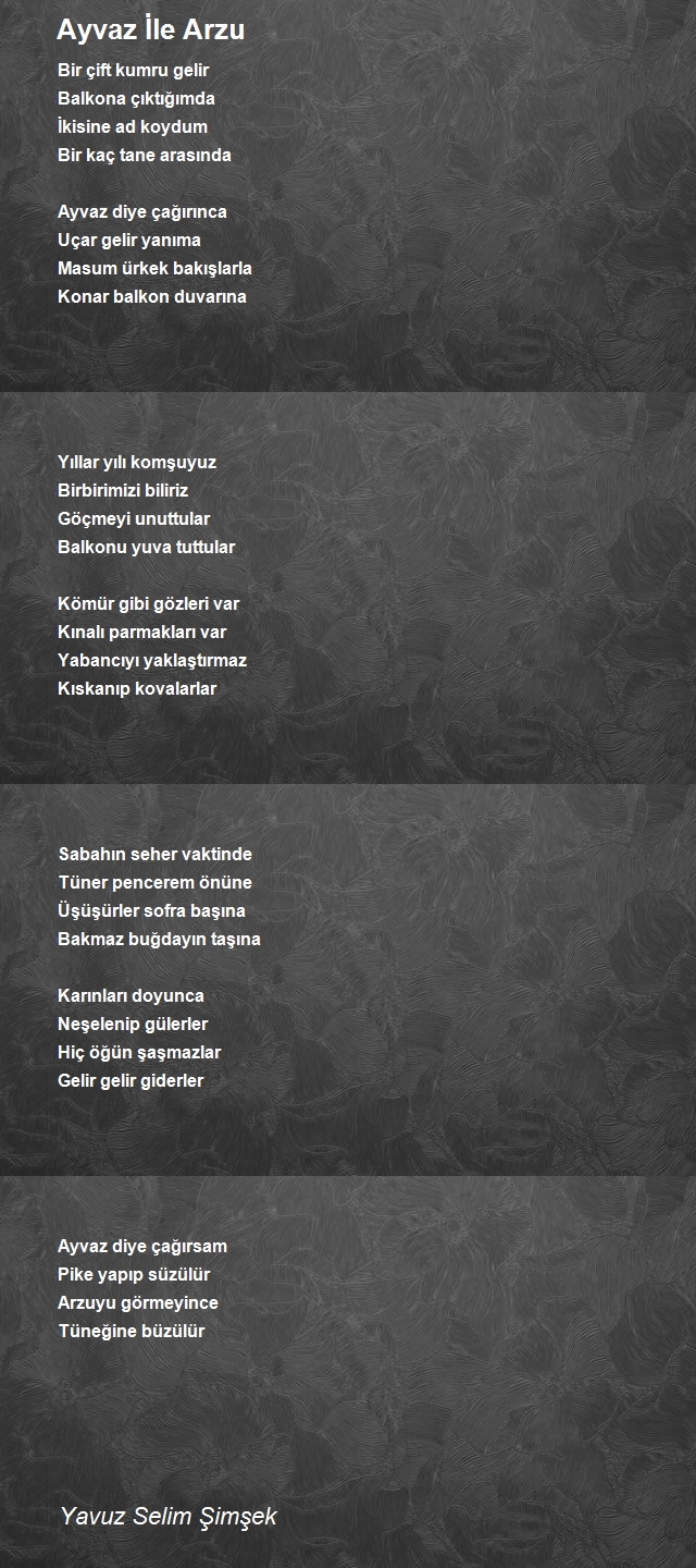 Yavuz Şimşek Selimi 2