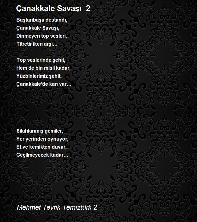 Mehmet Tevfik Temiztürk 2