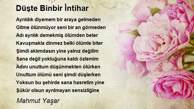 Mahmut Yaşar