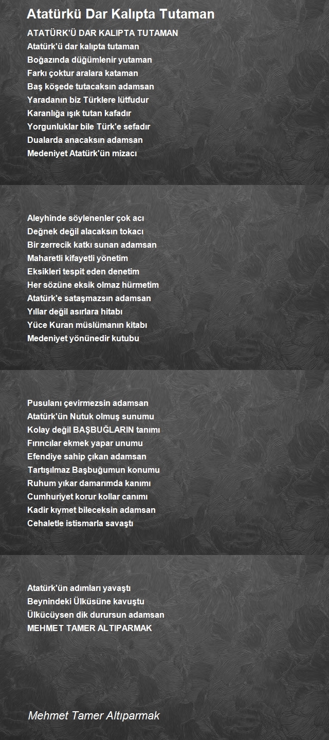 Mehmet Tamer Altıparmak