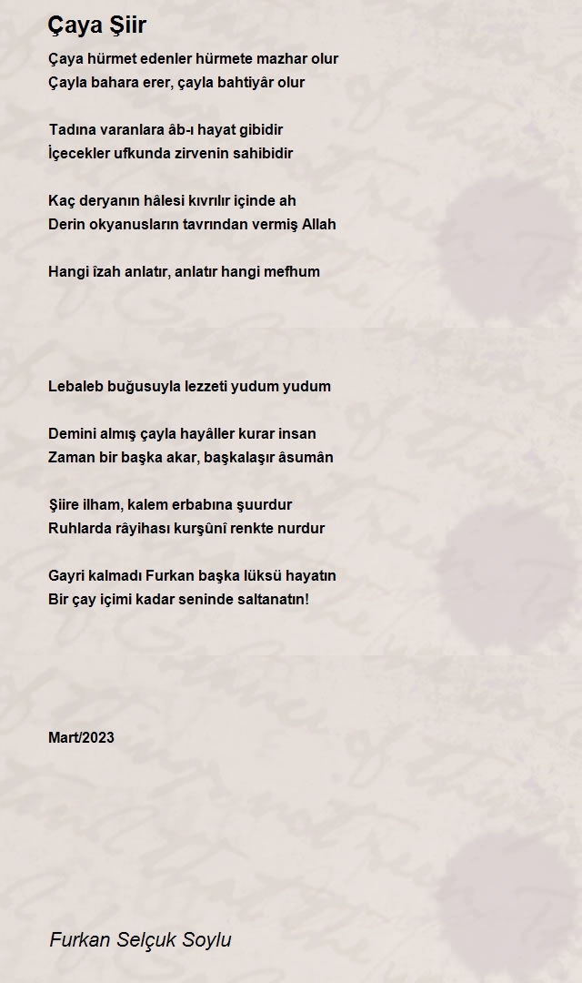 Furkan Selçuk Soylu