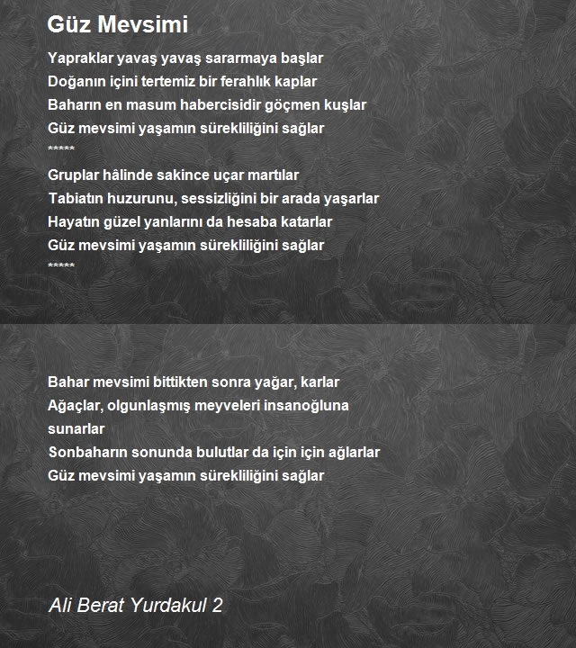 Ali Berat Yurdakul 2