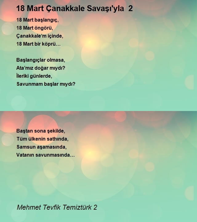 Mehmet Tevfik Temiztürk 2