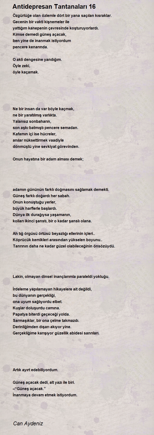 Can Aydeniz