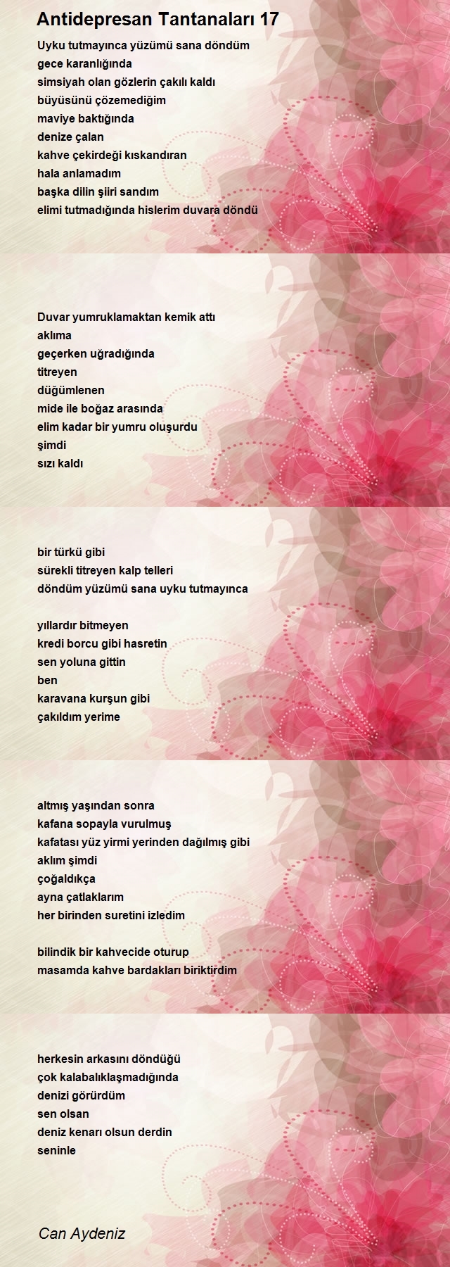 Can Aydeniz