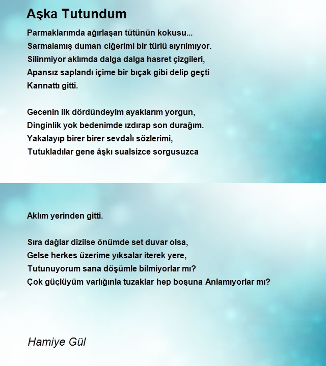 Hamiye Gül