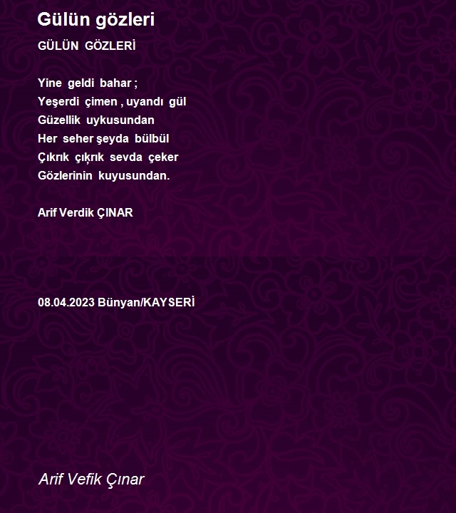 Arif Vefik Çınar