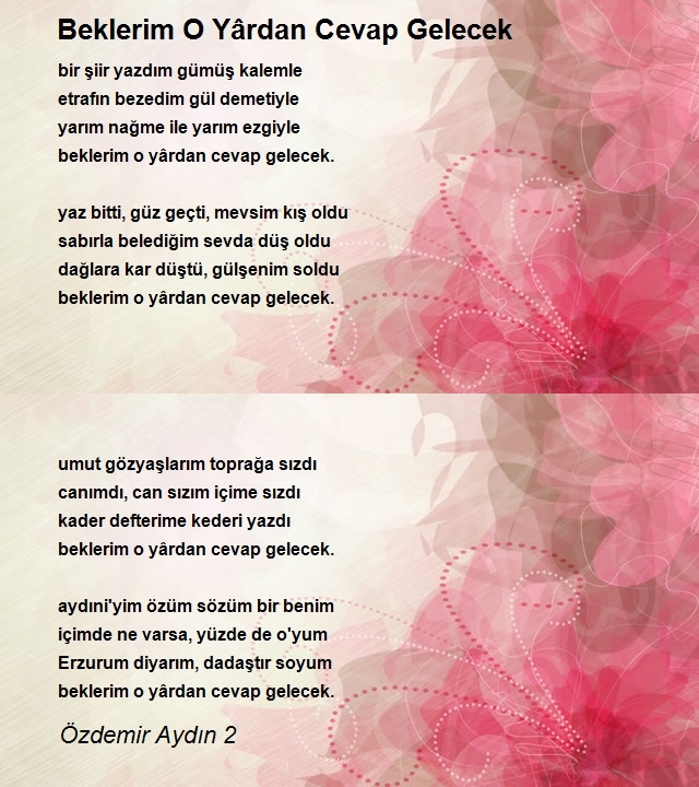 Özdemir Aydın 2