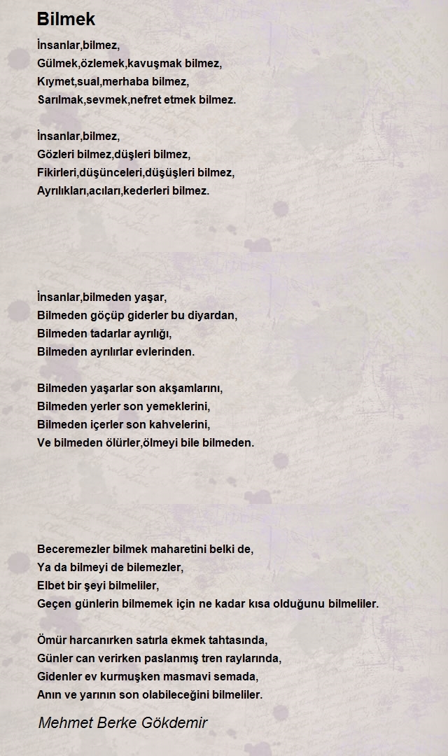 Mehmet Berke Gökdemir