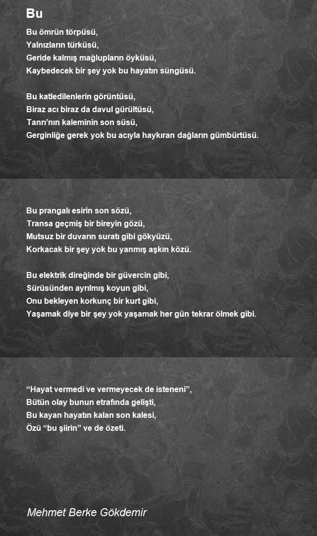 Mehmet Berke Gökdemir