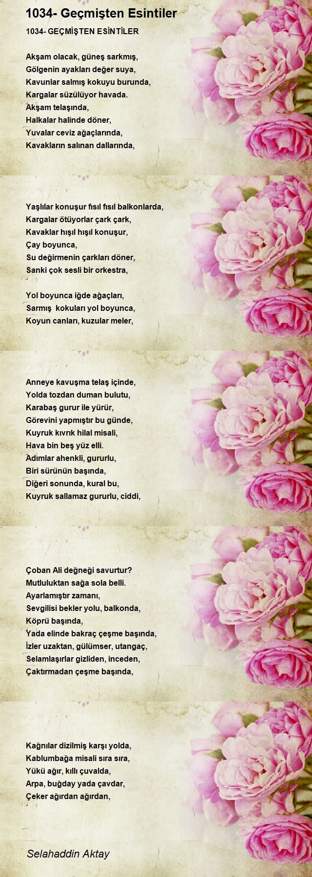 Selahaddin Aktay