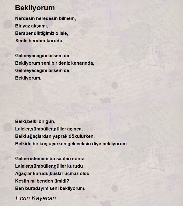 Ecrin Kayacan