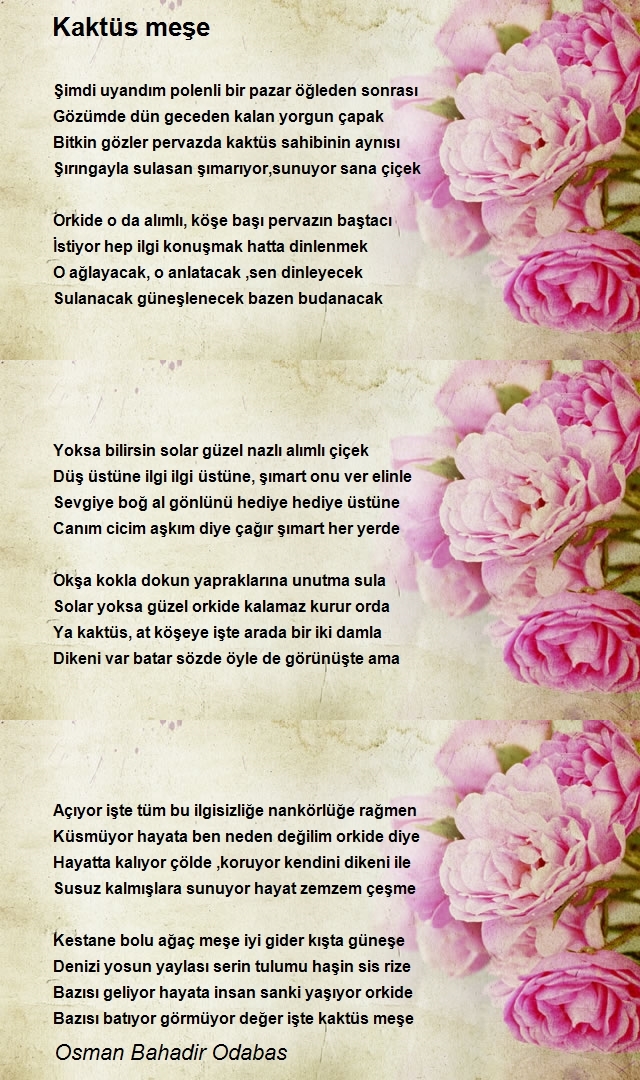 Osman Bahadir Odabas