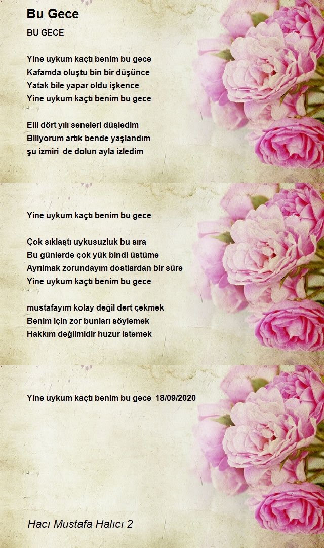 Hacı Mustafa Halıcı 2