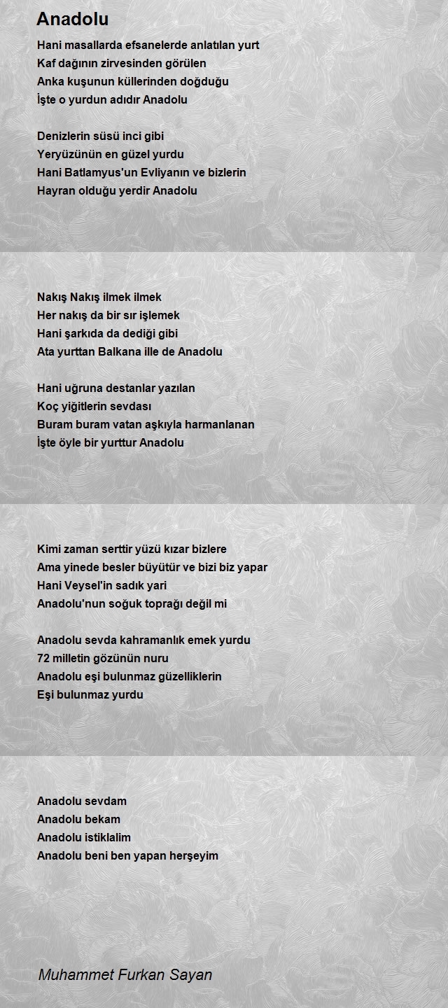 Muhammet Furkan Sayan
