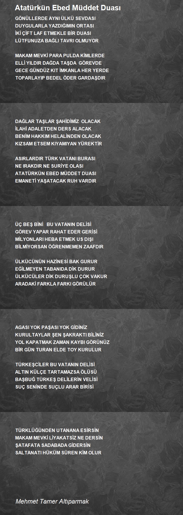 Mehmet Tamer Altıparmak