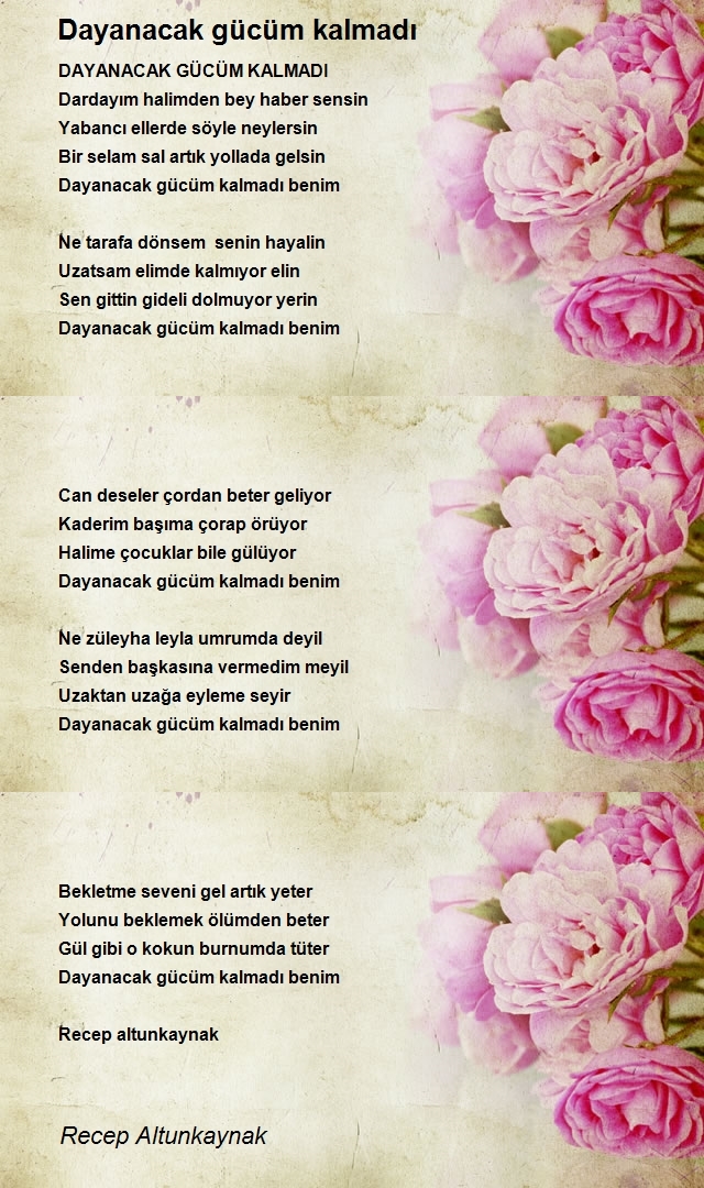 Recep Altunkaynak