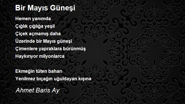 Ahmet Baris Ay