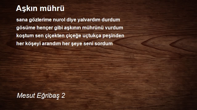 Mesut Eğribaş 2