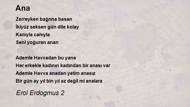 Erol Erdogmus 2