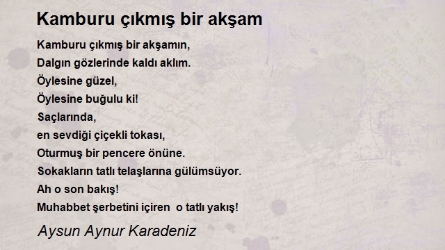 Şiirler Şehrim