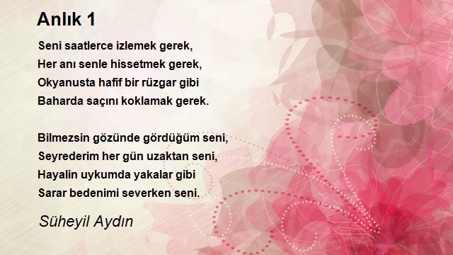 Süheyil Aydın