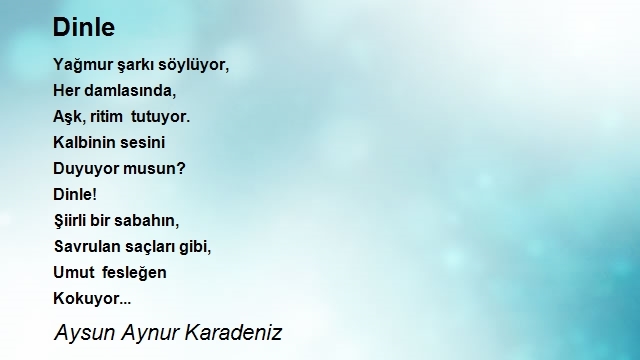 Şiirler Şehrim