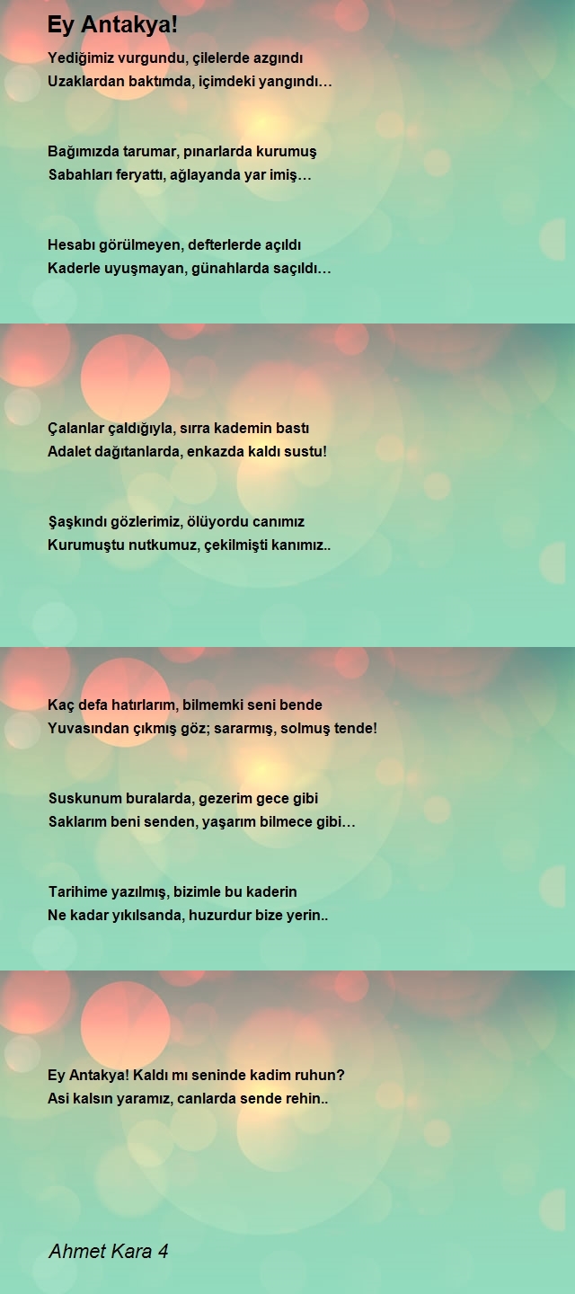 Ahmet Kara 4