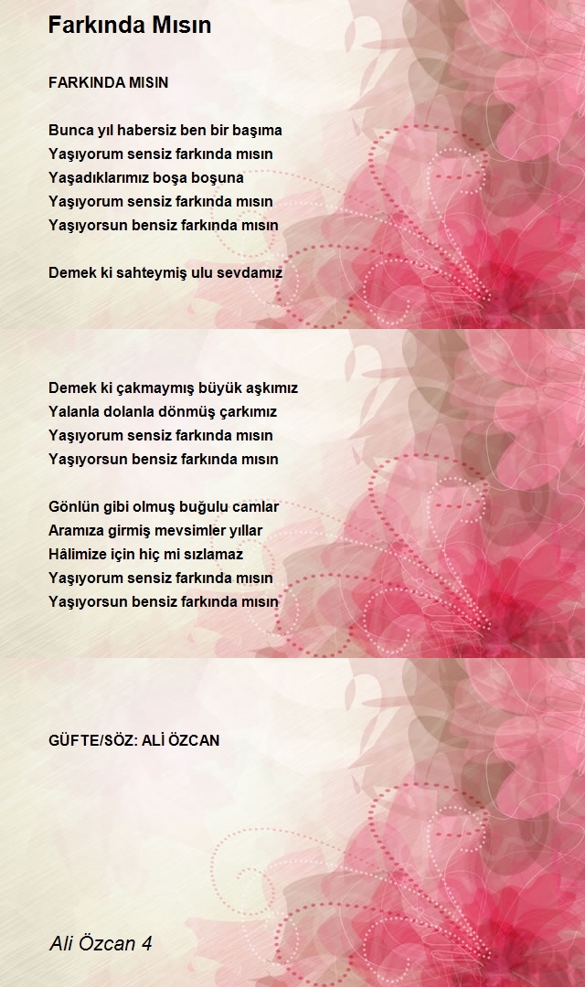 Ali Özcan 4
