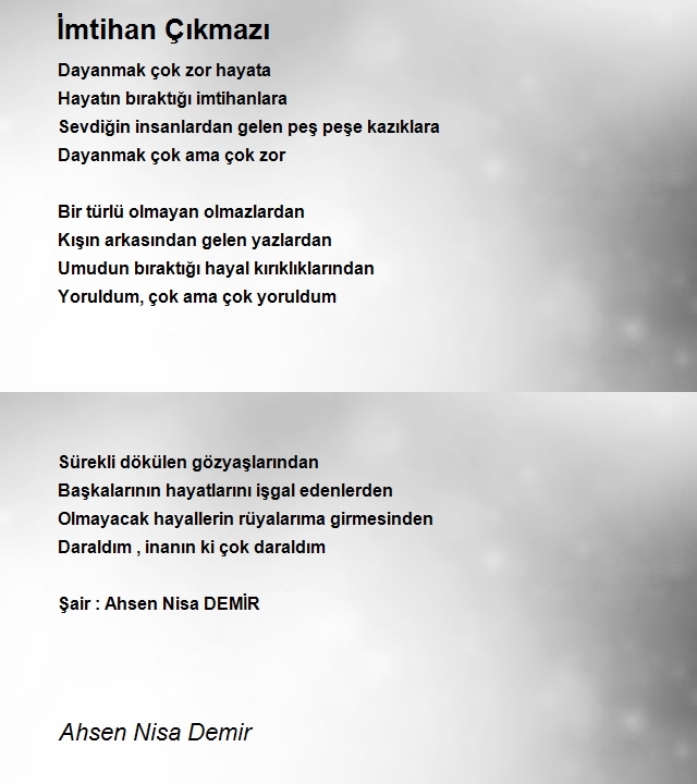 Ahsen Nisa Demir