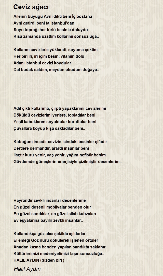 Halil Aydın