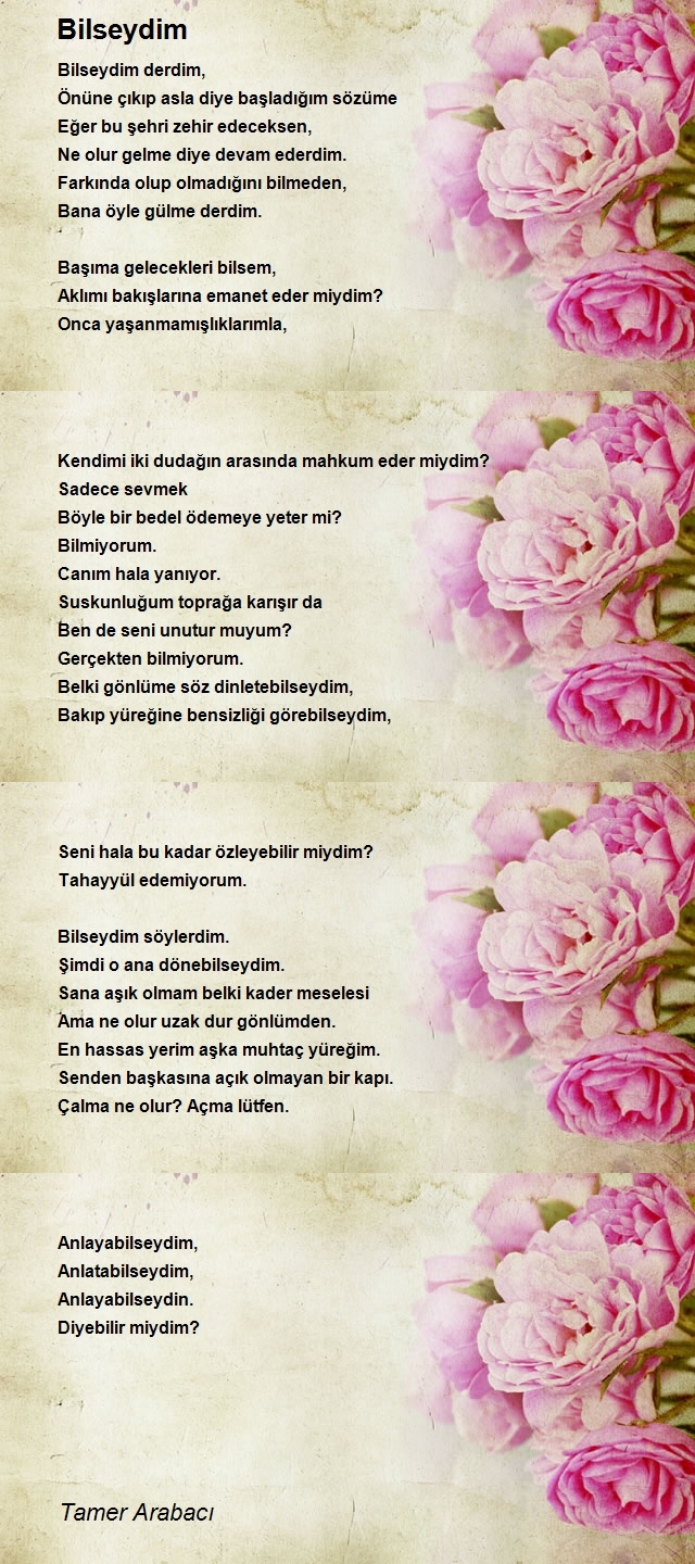 Tamer Arabacı