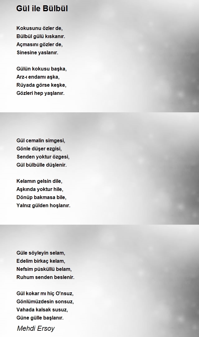 Mehdi Ersoy
