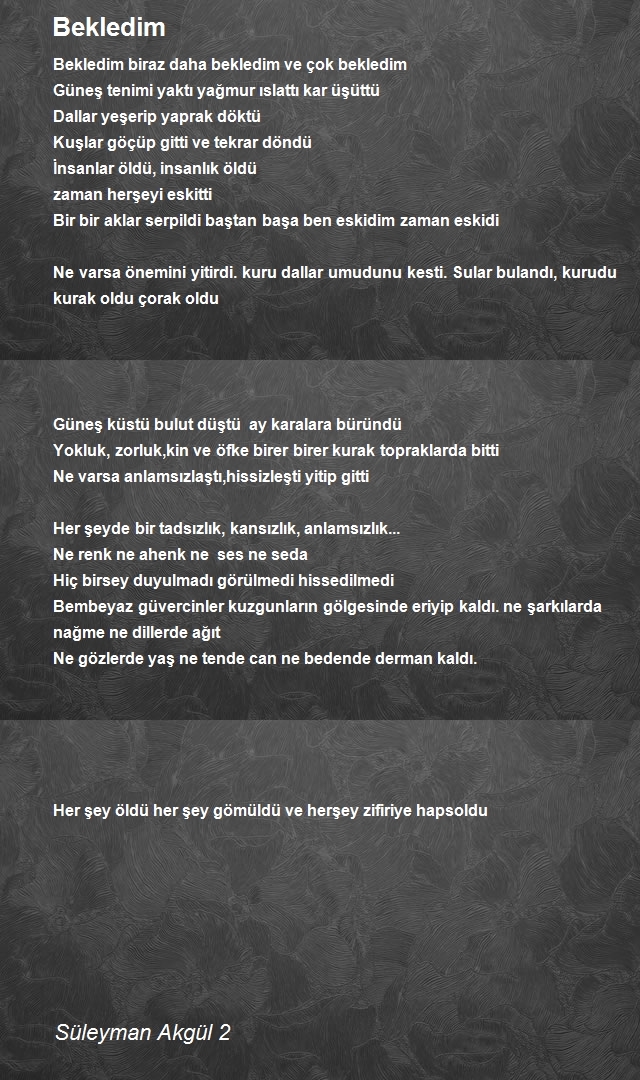 Süleyman Akgül 2