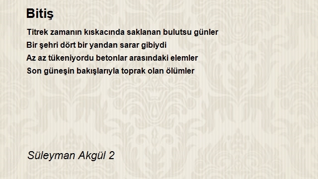 Süleyman Akgül 2
