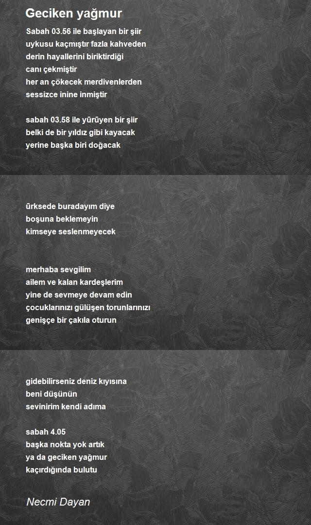 Necmi Dayan