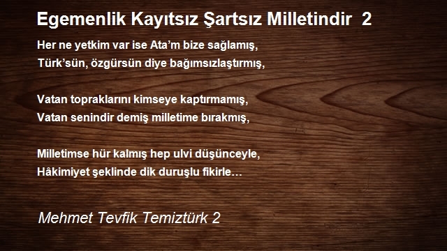 Mehmet Tevfik Temiztürk 2