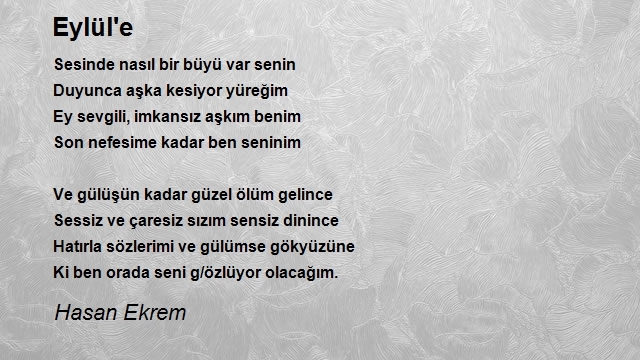 Hasan Ekrem