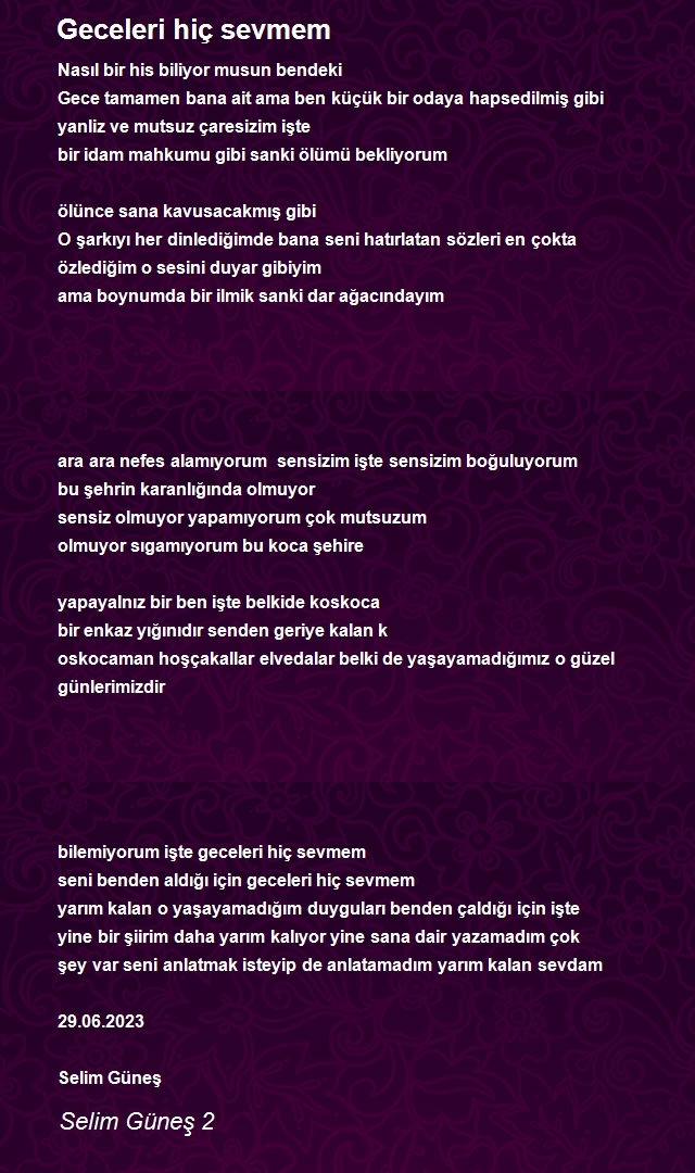 Selim Güneş 2