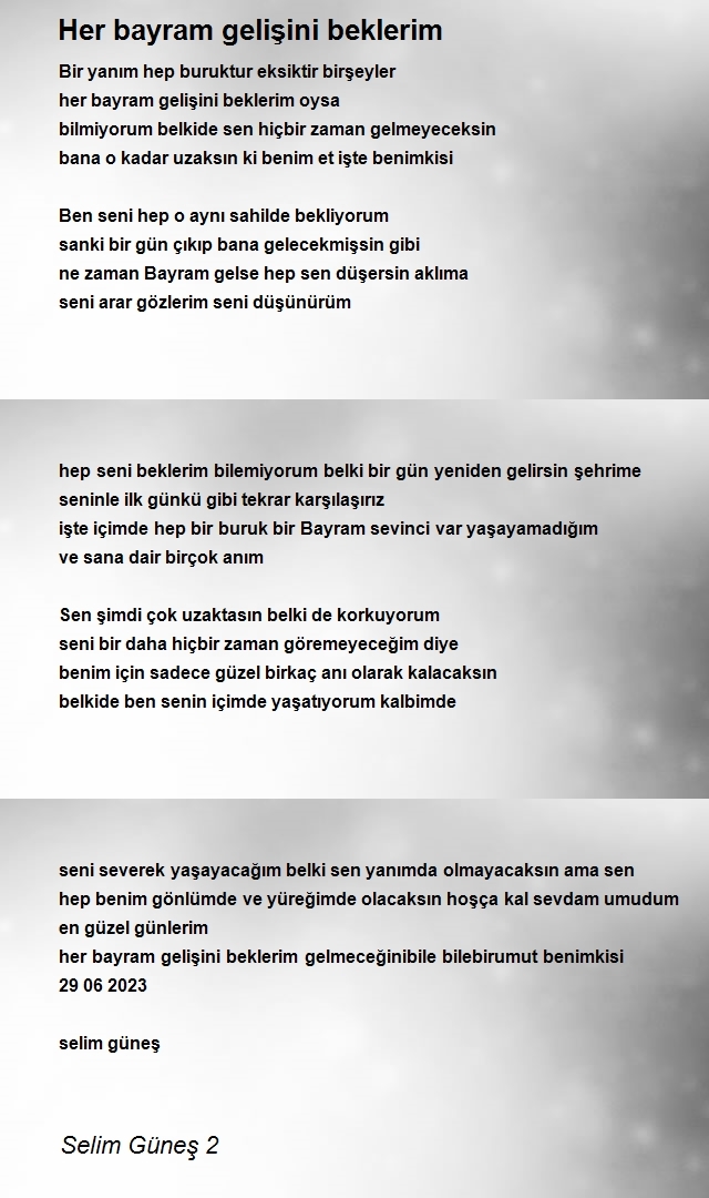 Selim Güneş 2